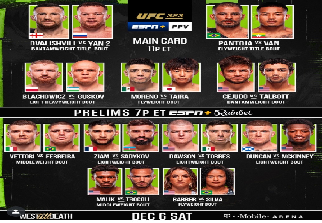 UFC 323 Poster